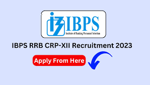 IBPS RRB BANK JOB 2023 CRP 12 Notification OUT for 8594 Posts, Apply Online